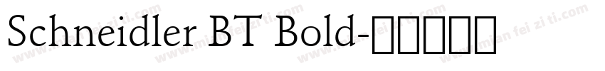 Schneidler BT Bold字体转换